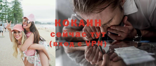 индика Балабаново