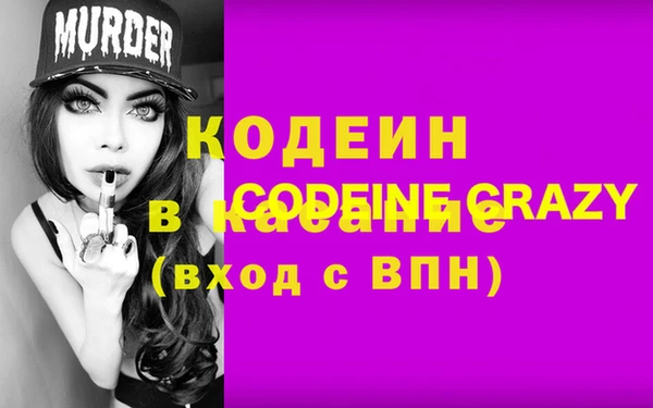 индика Балабаново
