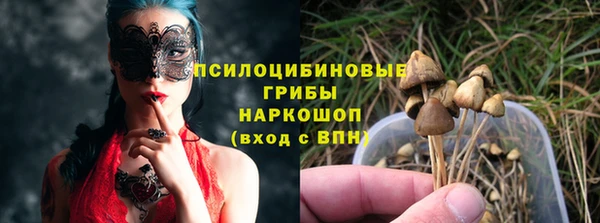 Альфа ПВП Баксан