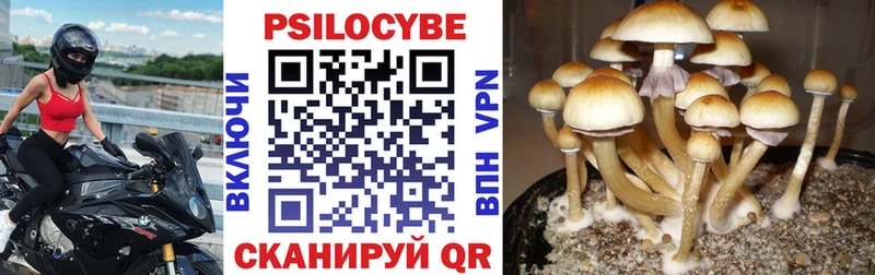 Псилоцибиновые грибы Psilocybine cubensis что такое наркотик МЕГА ссылки Иркутск
